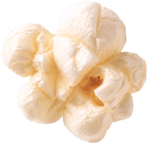 floating piece of popcorn